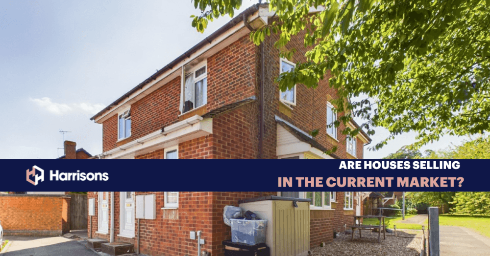 ARE HOUSES SELLING IN THE CURRENT MARKET? ARE HOUSES SELLING IN THE CURRENT MARKET?